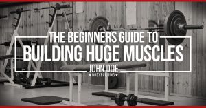 Beginner's Guide to building huge muscles