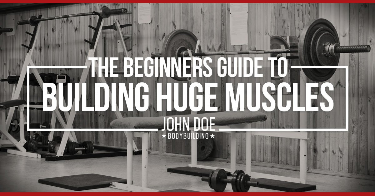 Beginner's Guide to building huge muscles