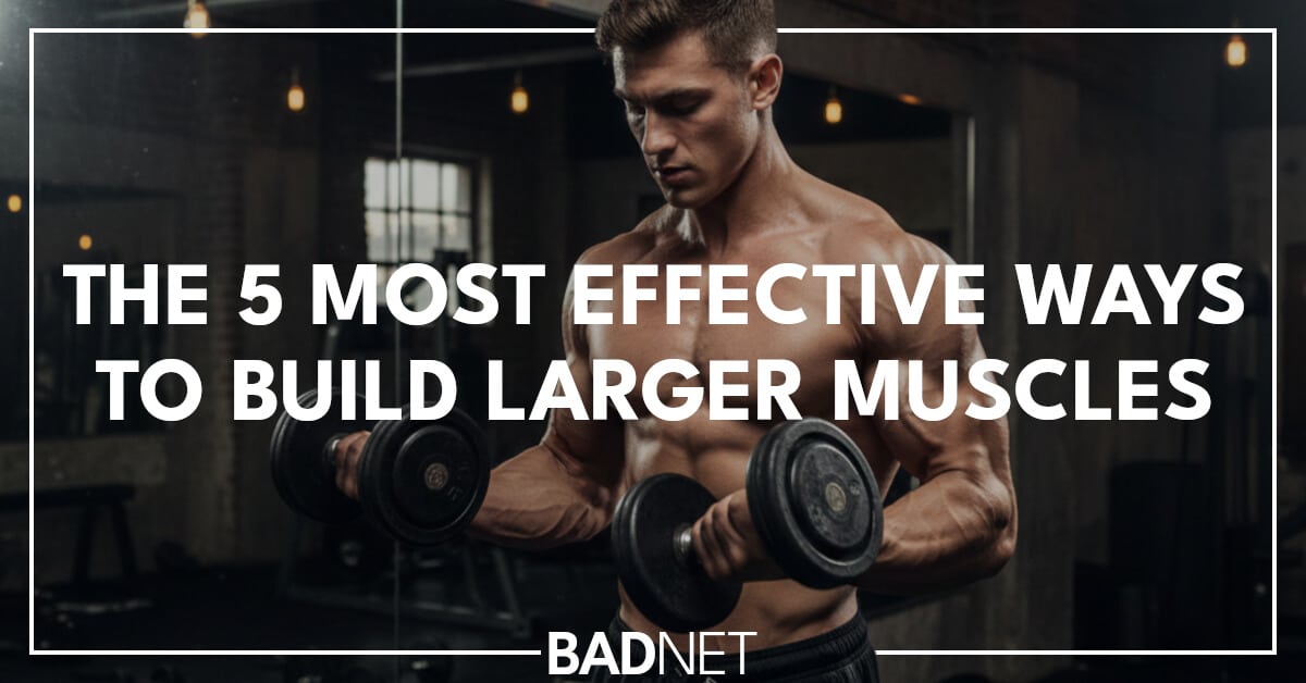 Build larger muscles
