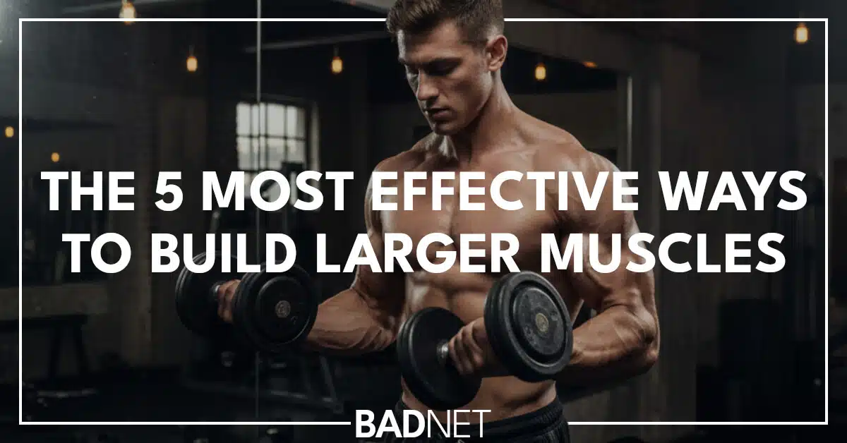 Build larger muscles