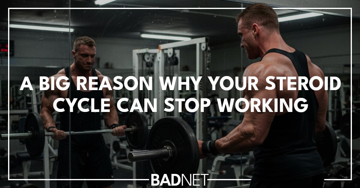 Steroid cycle stopped working