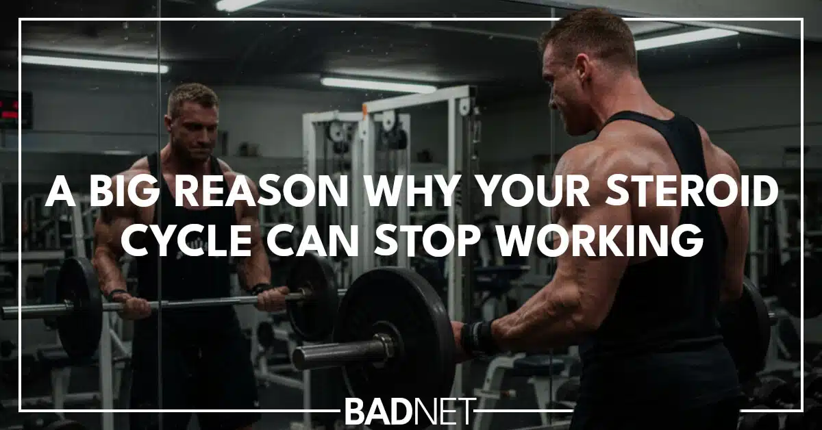 Steroid cycle stopped working