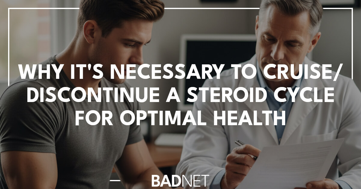 When to stop a steroid cycle