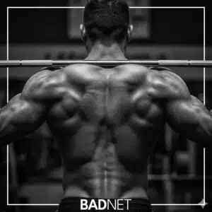 Bodybuilding best results